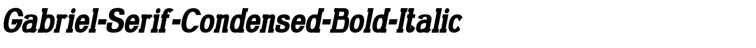 Gabriel-Serif-Condensed-Bold-Italic.ttf