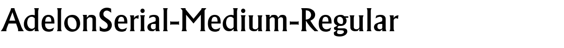 AdelonSerial-Medium-Regular.ttf