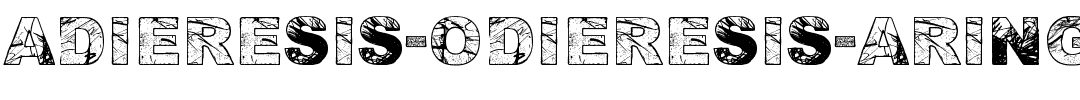 Adieresis-Odieresis-Aring.ttf