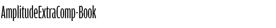 AmplitudeExtraComp-Book.ttf