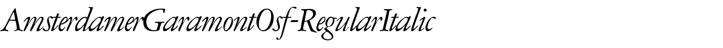 AmsterdamerGaramontOsf-RegularItalic.ttf