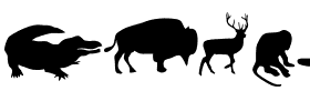 Animals.ttf
