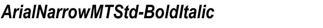 ArialNarrowMTStd-BoldItalic.ttf