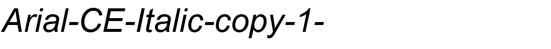 Arial-CE-Italic-copy-1-.ttf