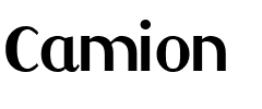 Camion.ttf