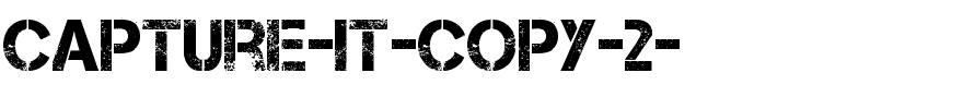 Capture-it-copy-2-.ttf