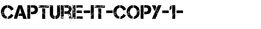 Capture-it-copy-1-.ttf